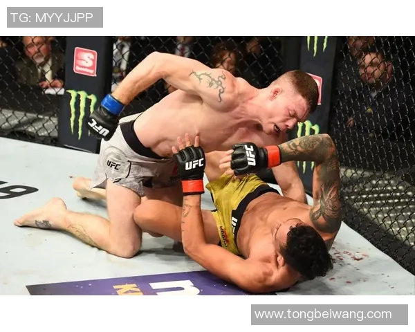 菲尔德与奥利维拉的巅峰对决谁将成为胜利者的传奇英雄