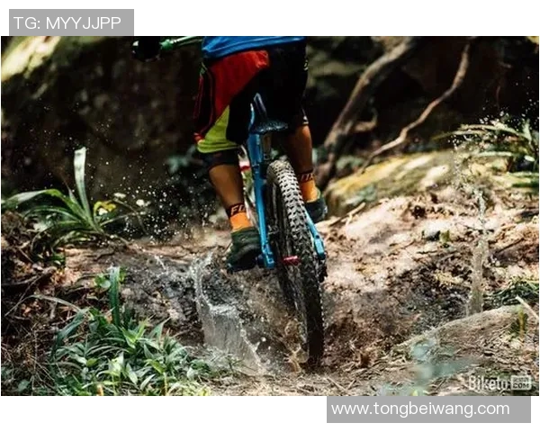 西安极限运动队勇夺耐力赛事冠军最新极限运动TOP10揭晓